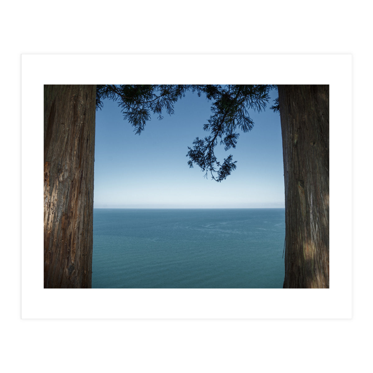 Picture Postcard Perfect (Print Only)