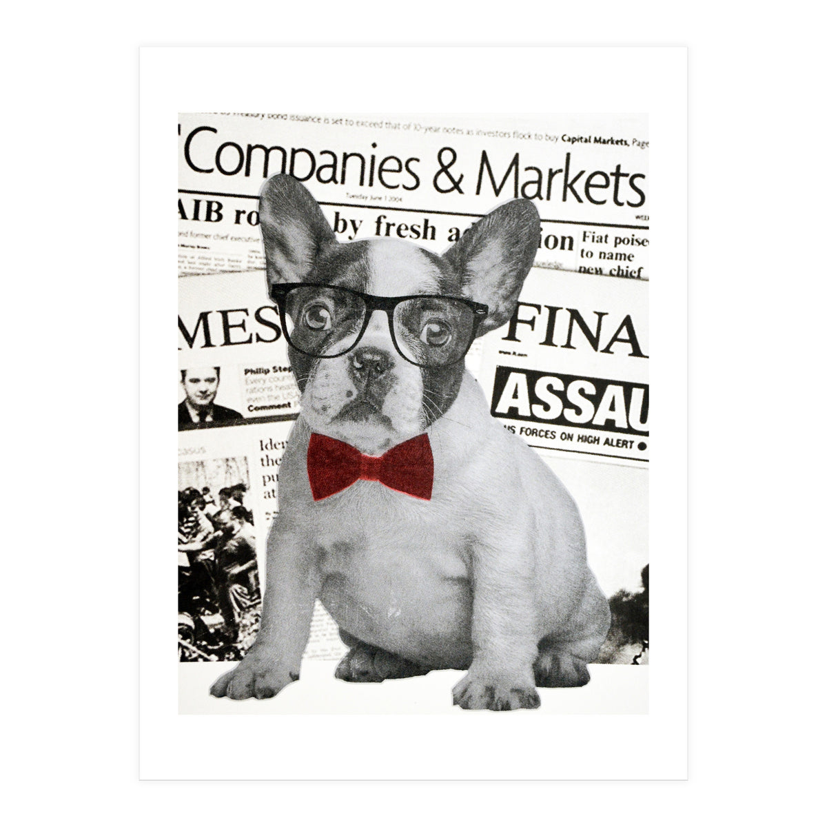 The Dog Of Wall Street (Print Only)