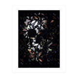 Butterfly Skull (Print Only) thumbnail