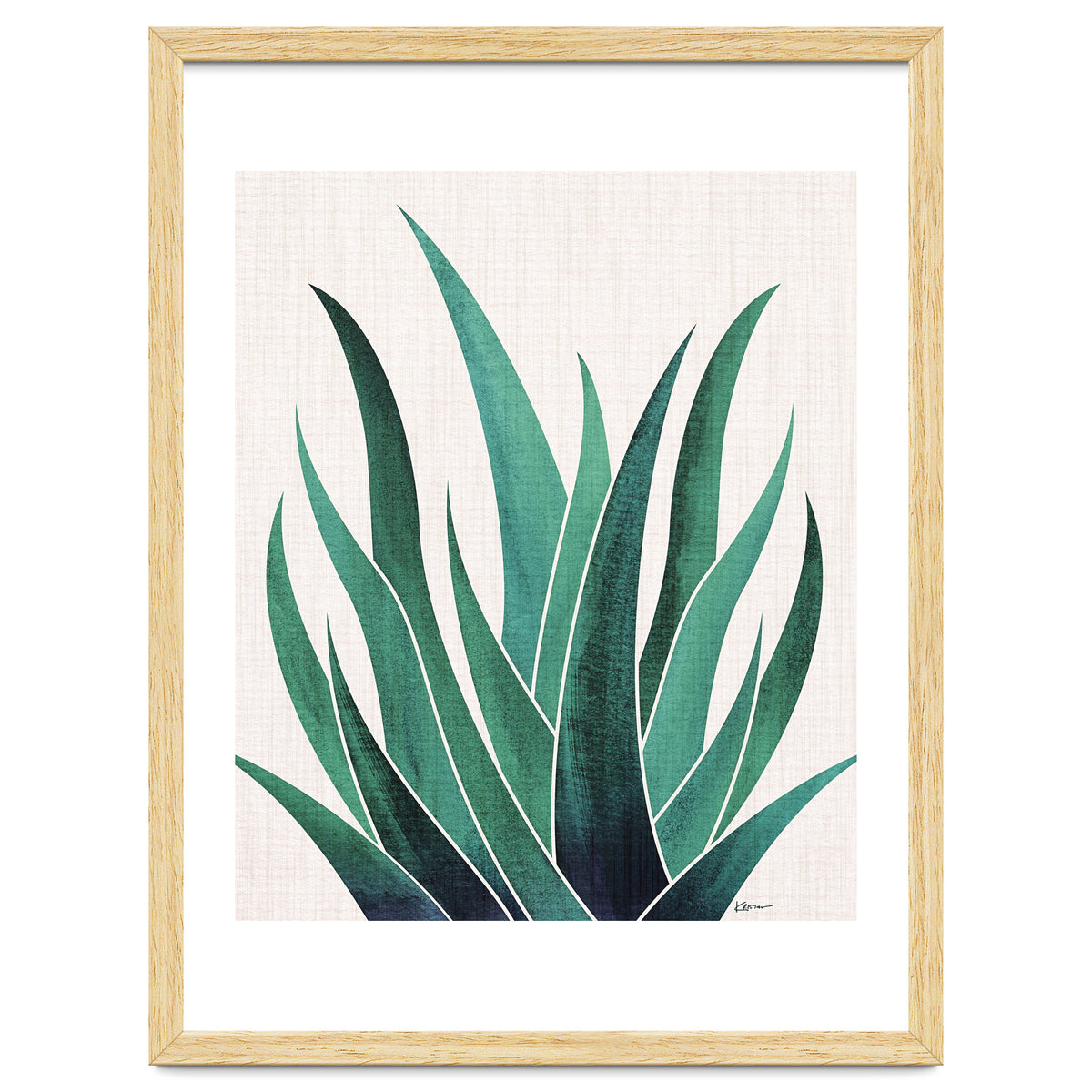 Desert Agave