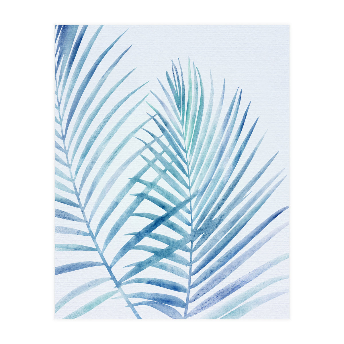 Coastal Palm Fronds (Print Only)