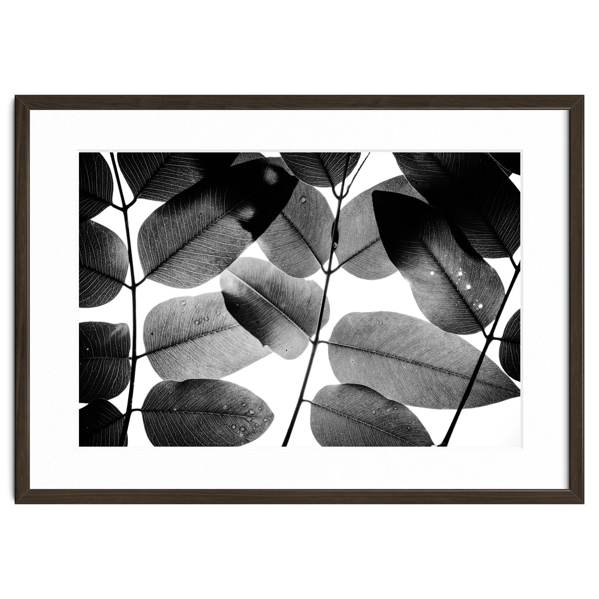 Experiments with Leaves II