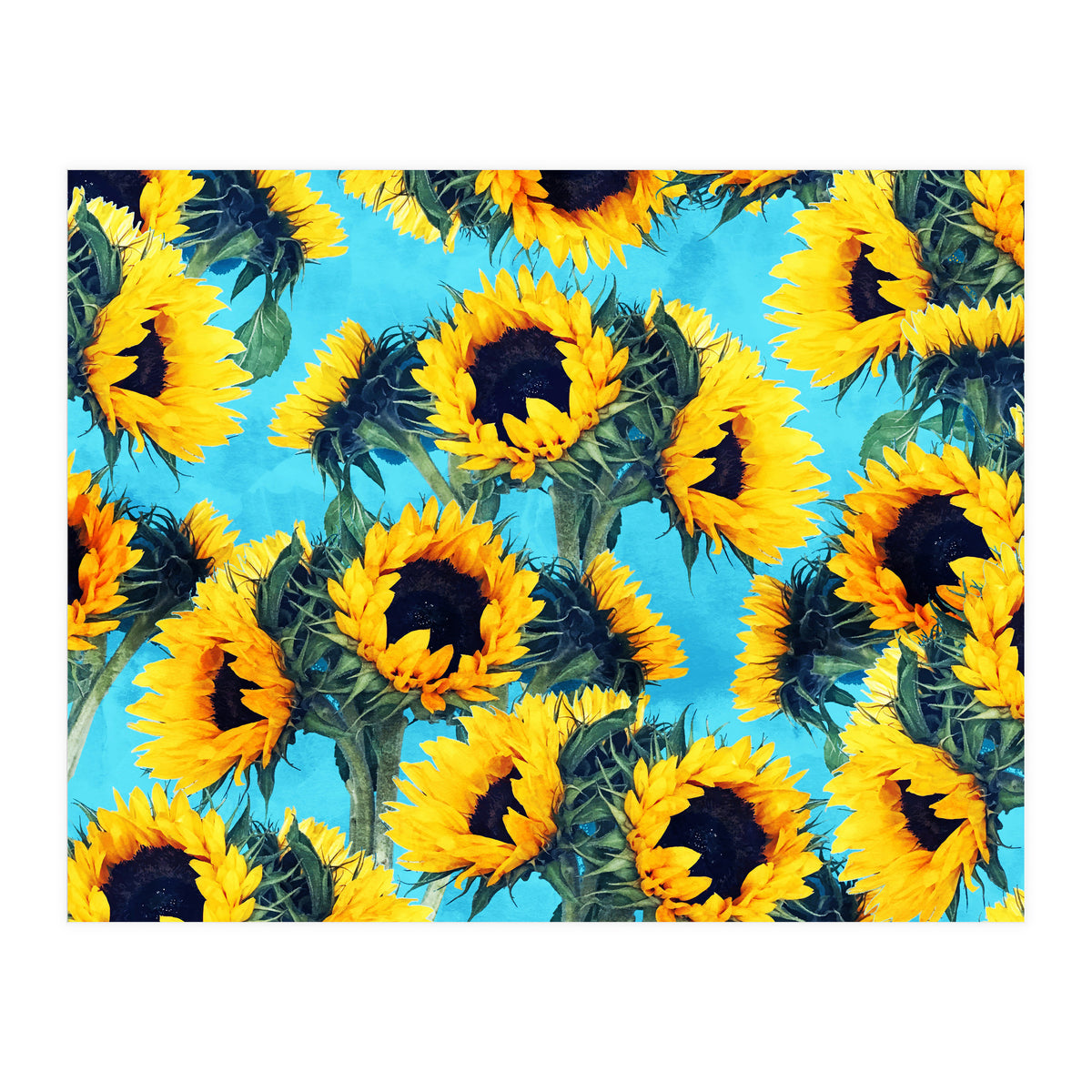 Sunflowers & Sky (Print Only)