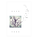 HOPE TREE (Print Only) thumbnail