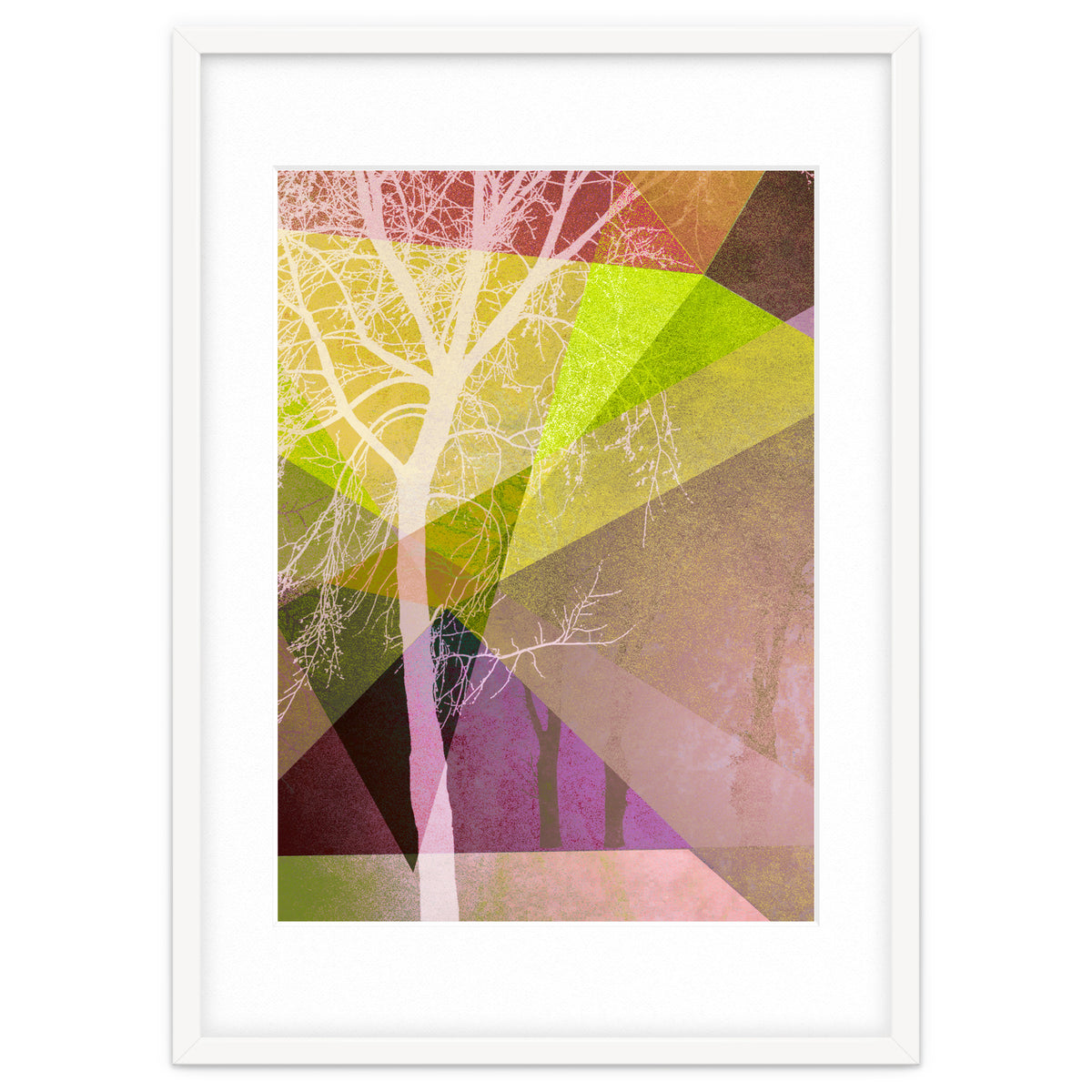 P22 Trees And Triangles