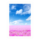 Nature (Print Only) thumbnail