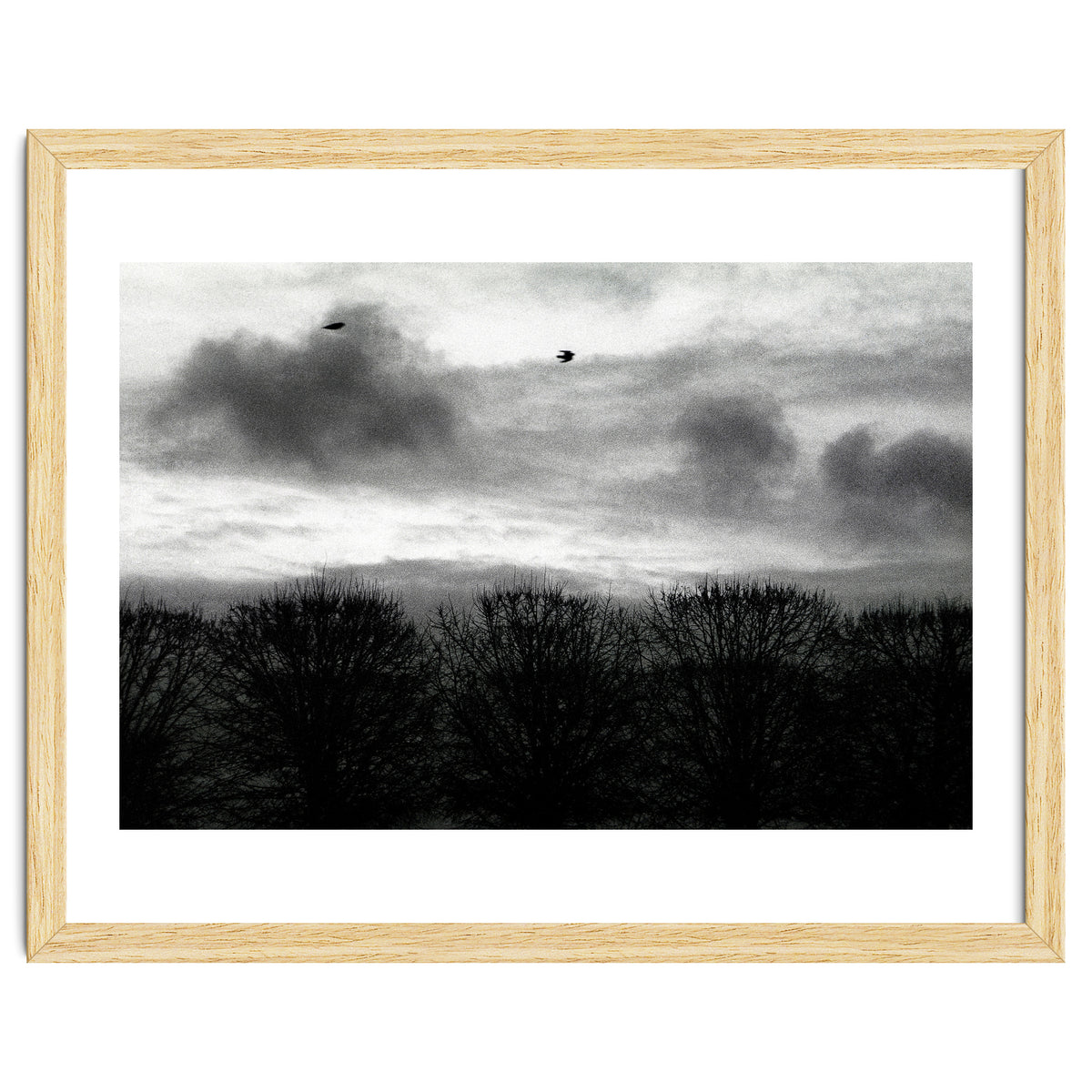 Winter mornig in Paris