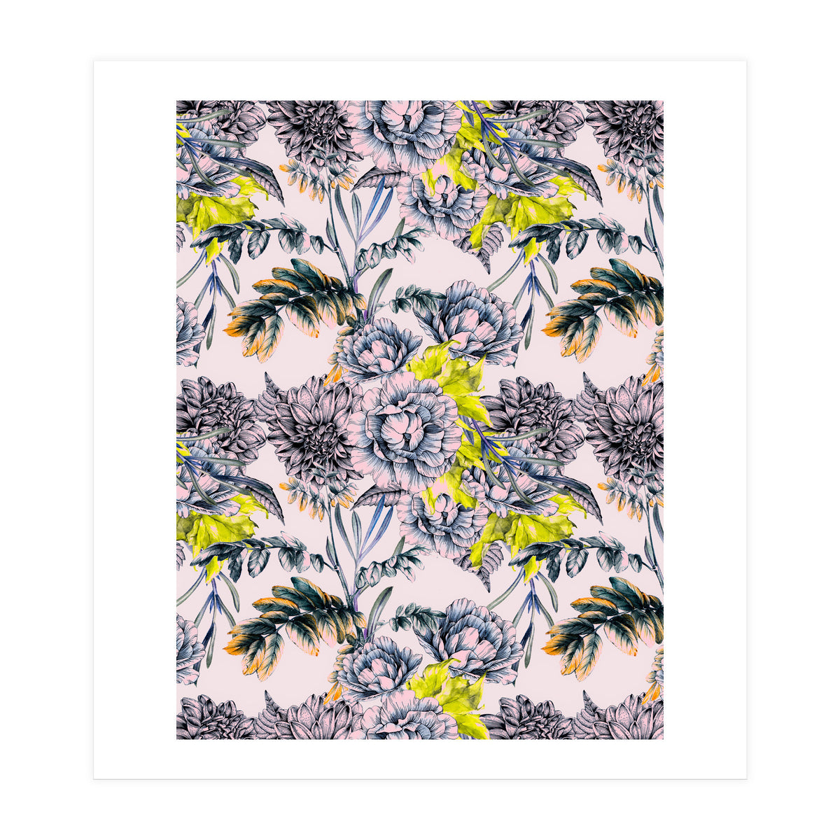 Flowering blooming in pink  (Print Only)