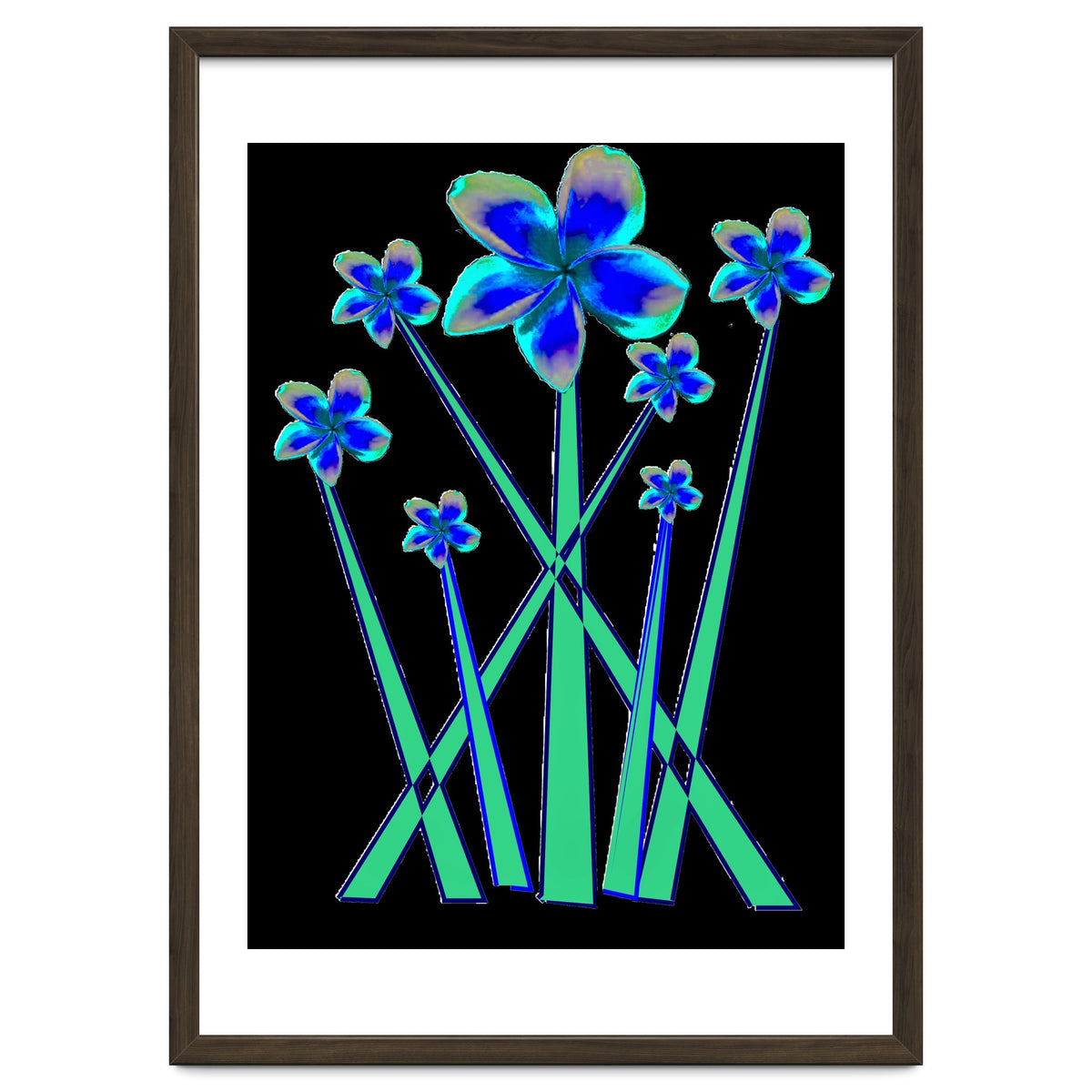Blue flowers on black.