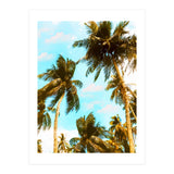 Cali Summer (Print Only) thumbnail