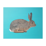 Rabbit (Print Only) thumbnail
