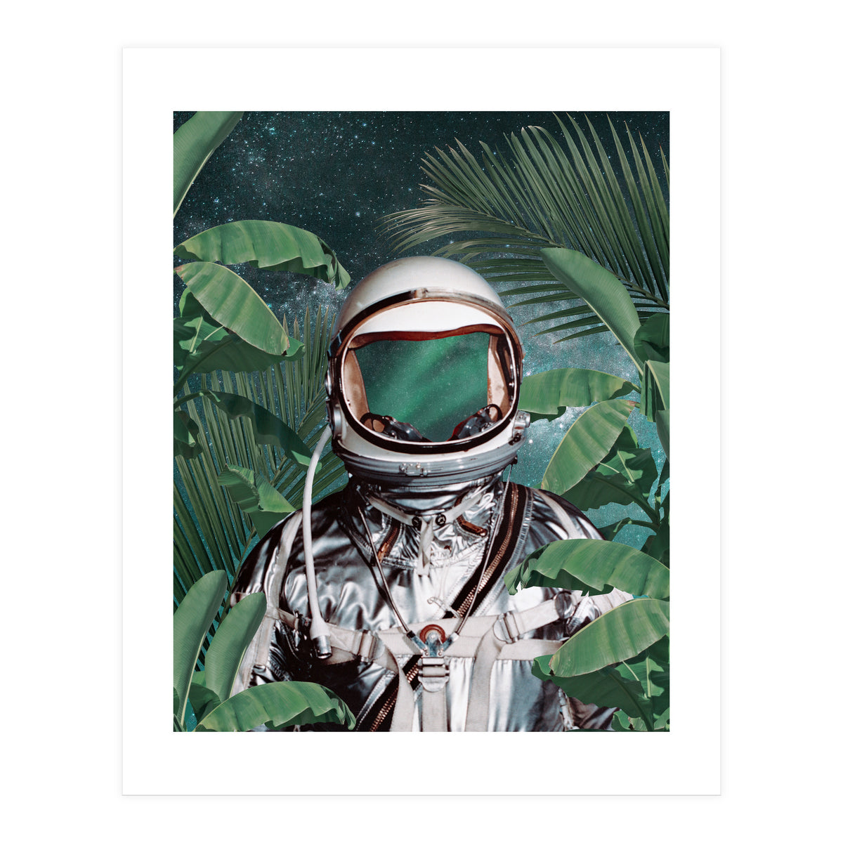 Paradise Found (Print Only)