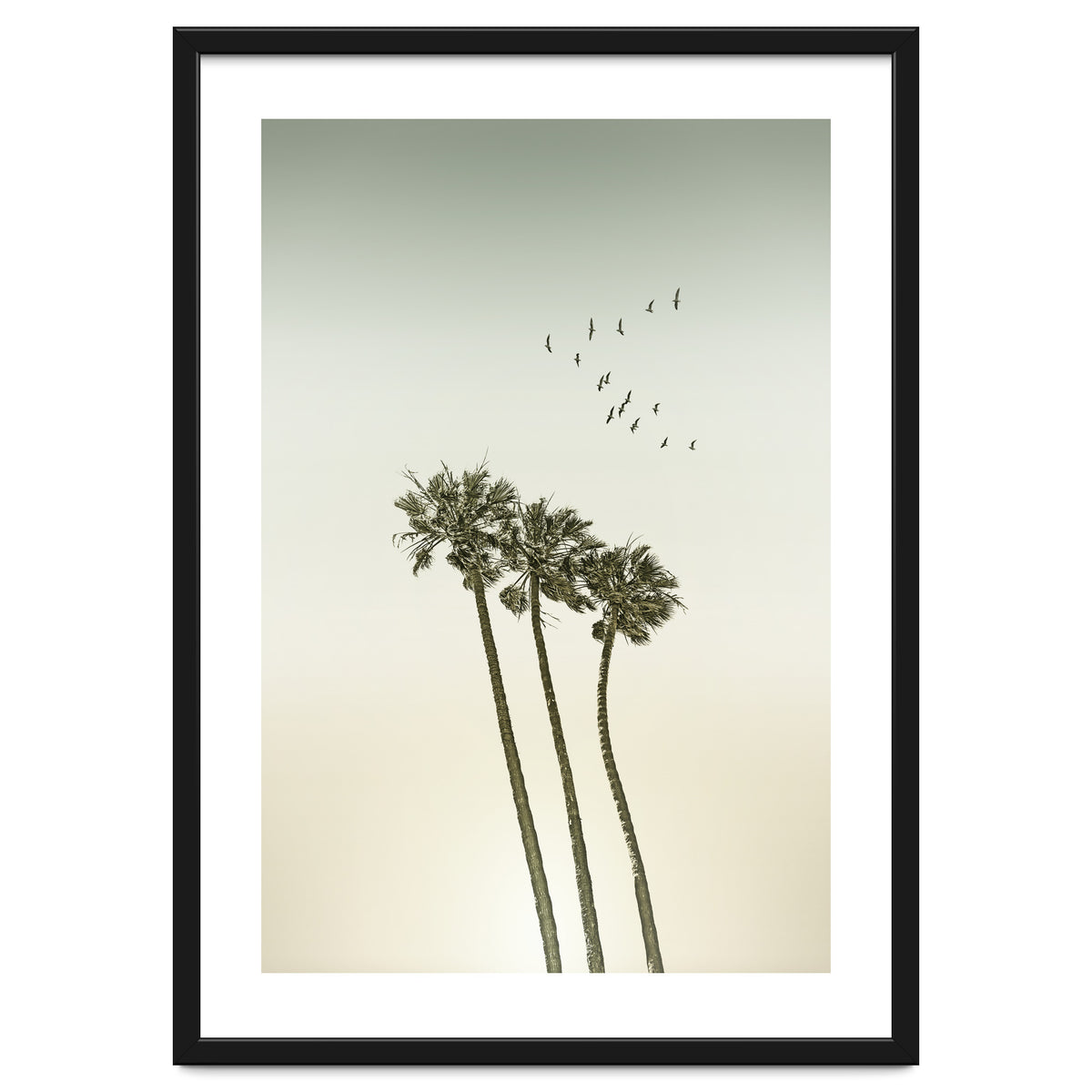 Vintage palm trees at sunset