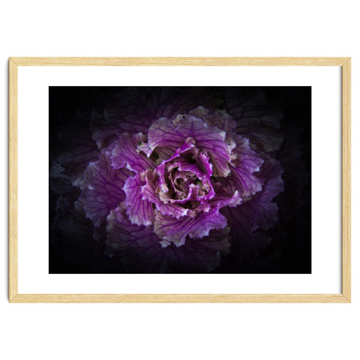 Backyard Flowers No 42 Color Version