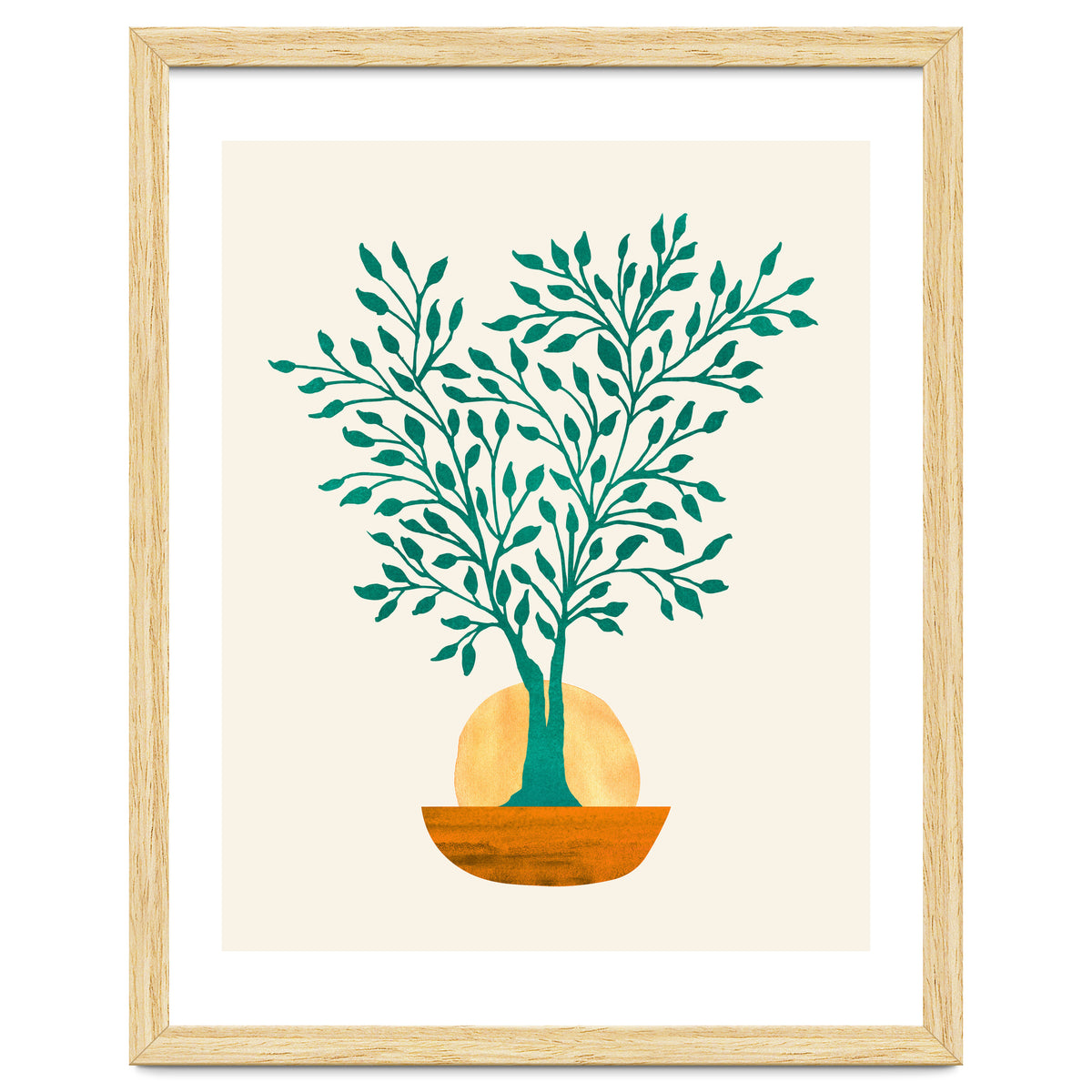 Emerald Ficus Sunset