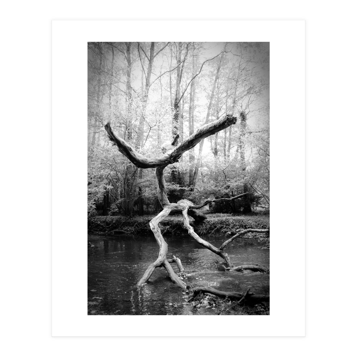 the negotiator (Print Only)