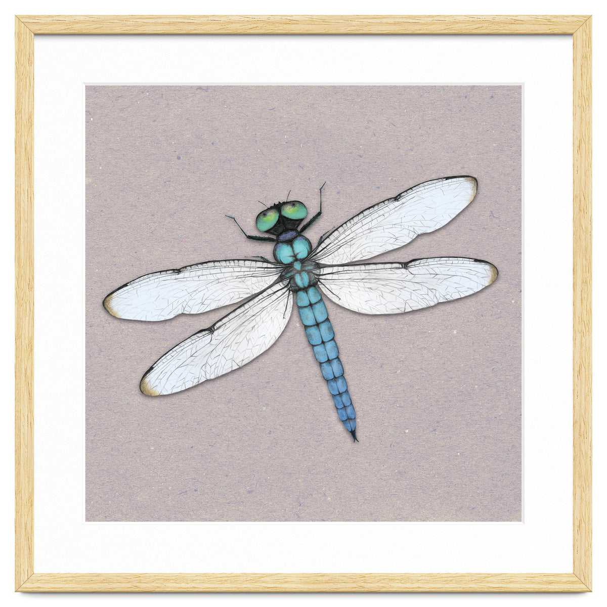 Blue dragonfly