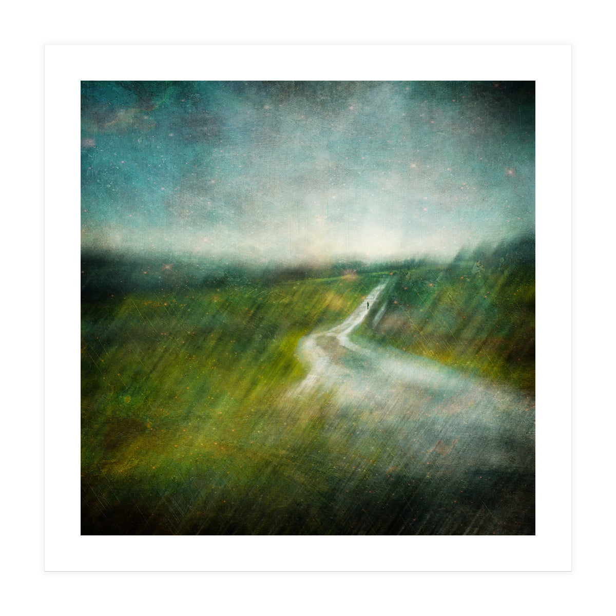 The Road Ahead (Print Only)