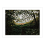 Tomales Bay (Print Only) thumbnail