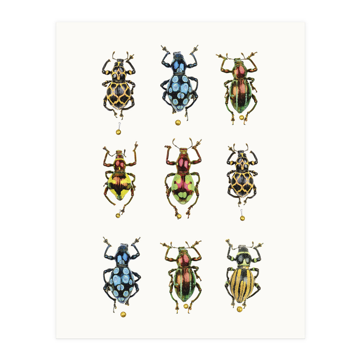 Cc Insects 05 (Print Only)