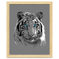 Sketch Tiger