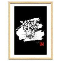 Leopard in white