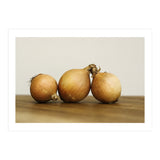Onions (Print Only) thumbnail