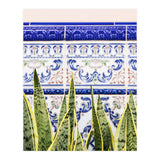 Moroccan Botany (Print Only) thumbnail