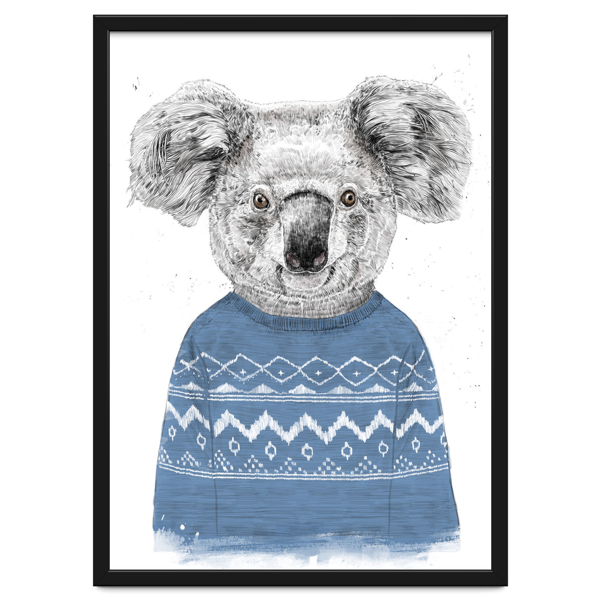 Winter Koala