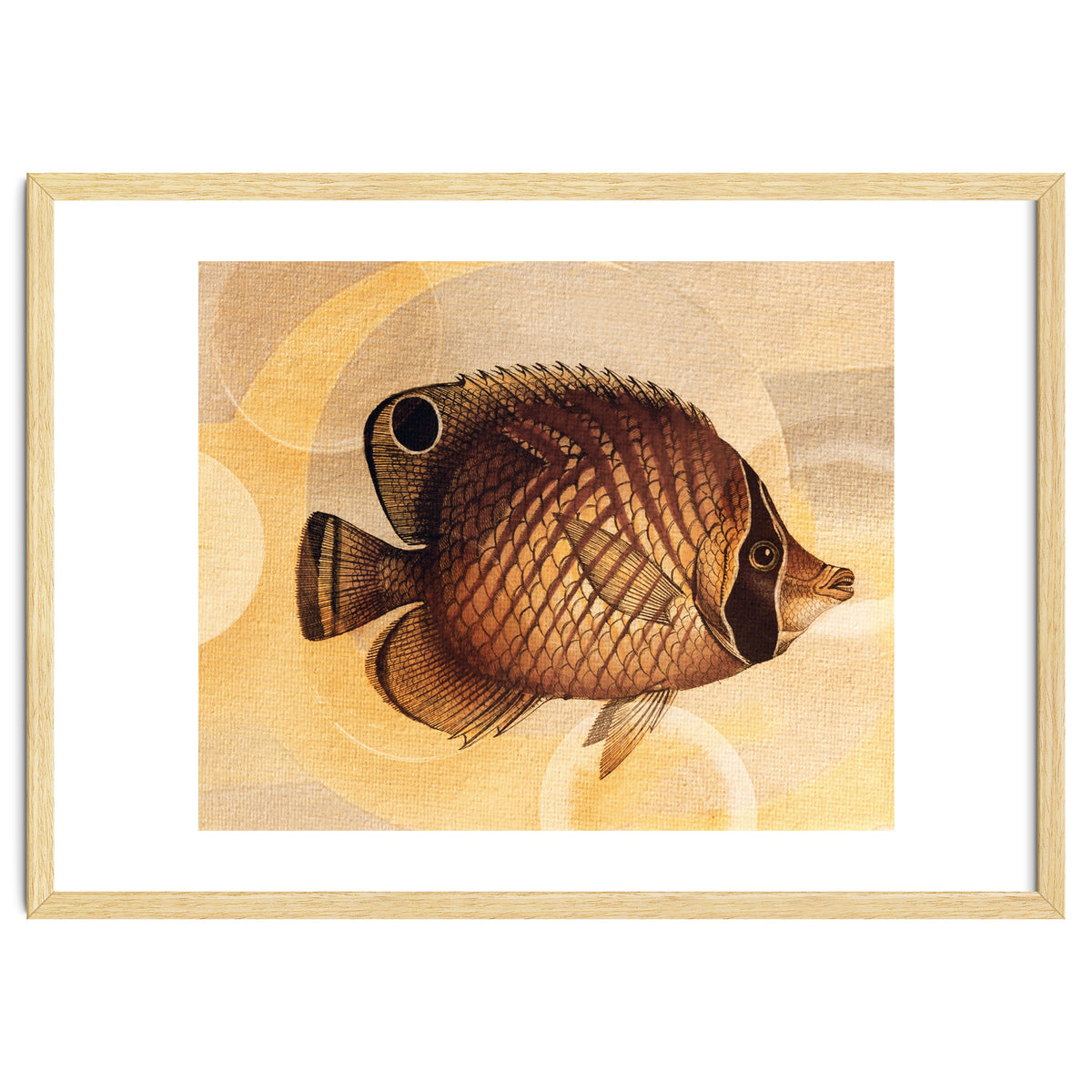 Fish Between Circles 3