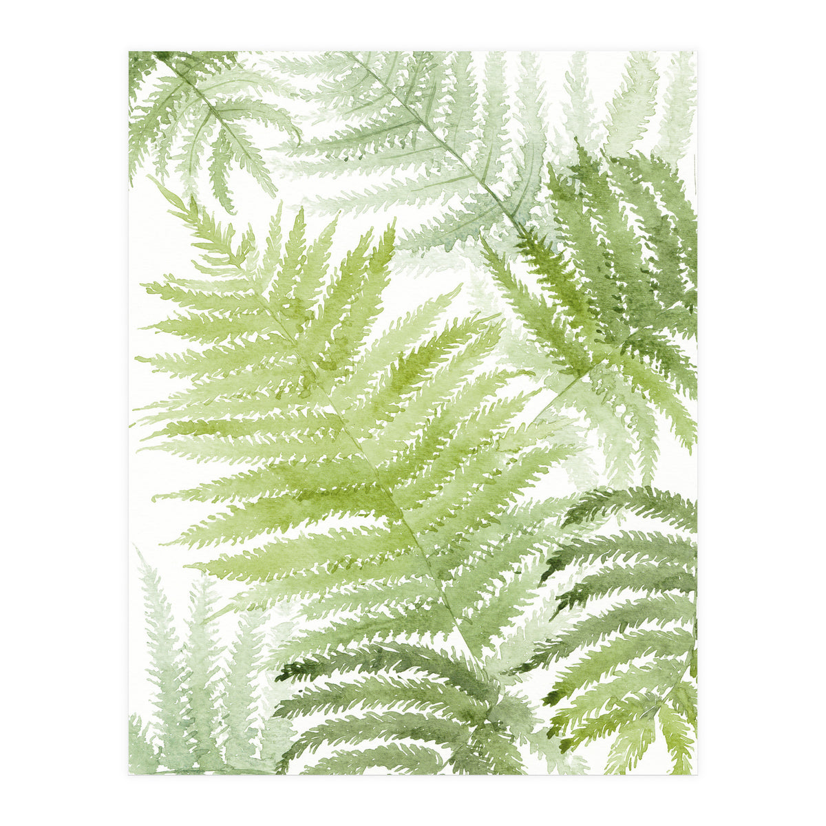 Samambaia  (Print Only)