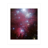 The Christmas Tree Cluster (Print Only) thumbnail