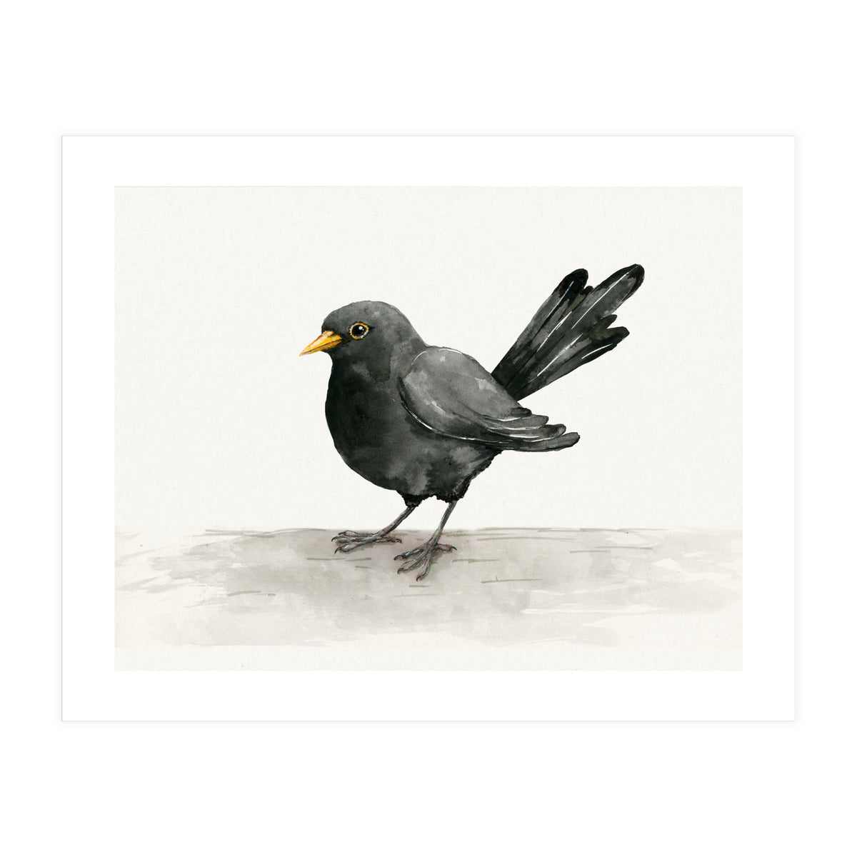Blackbird ink drawing (Print Only)