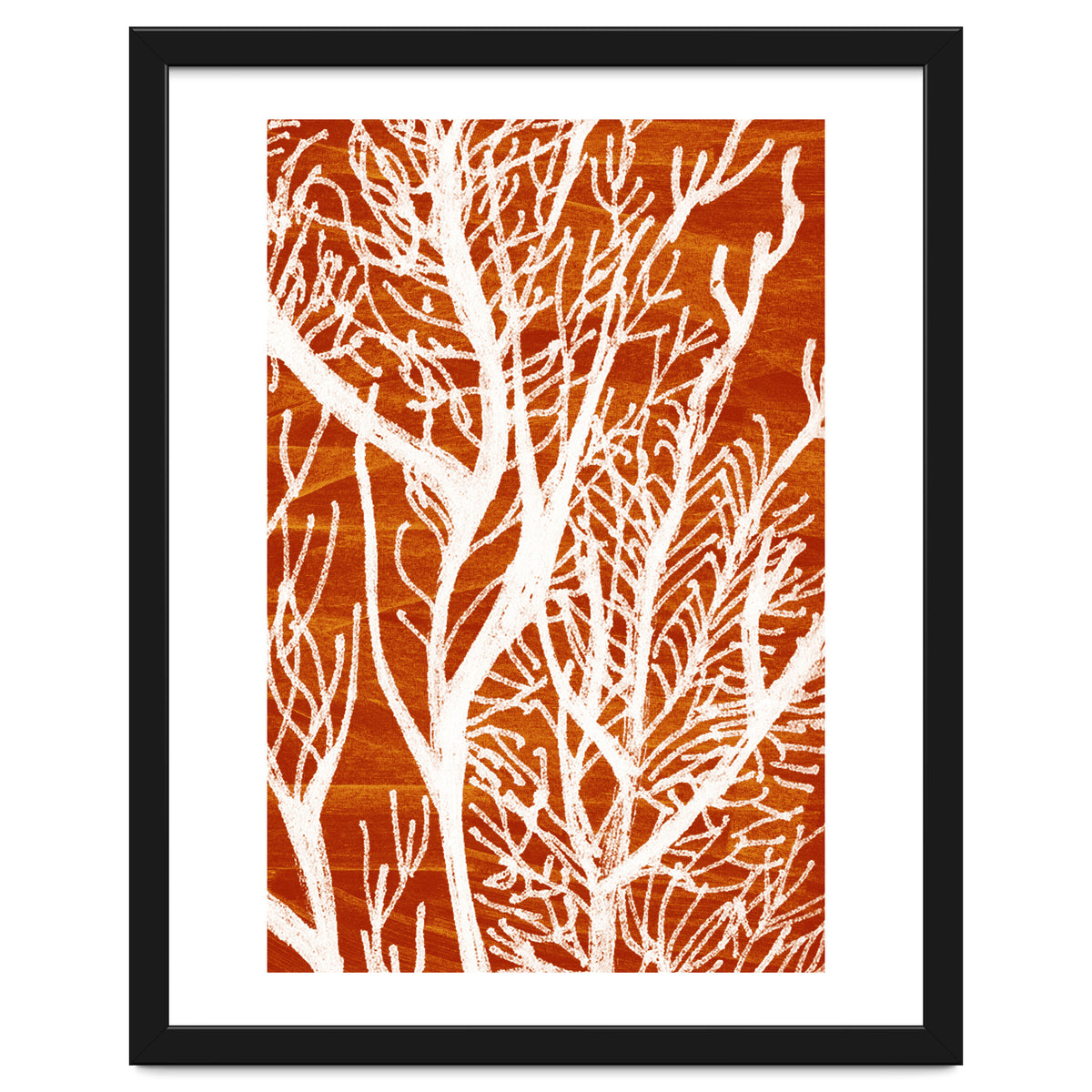 Desert Colours Collection 2