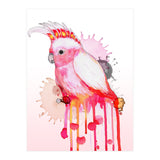Major Mitchell's cockatoo (Print Only) thumbnail