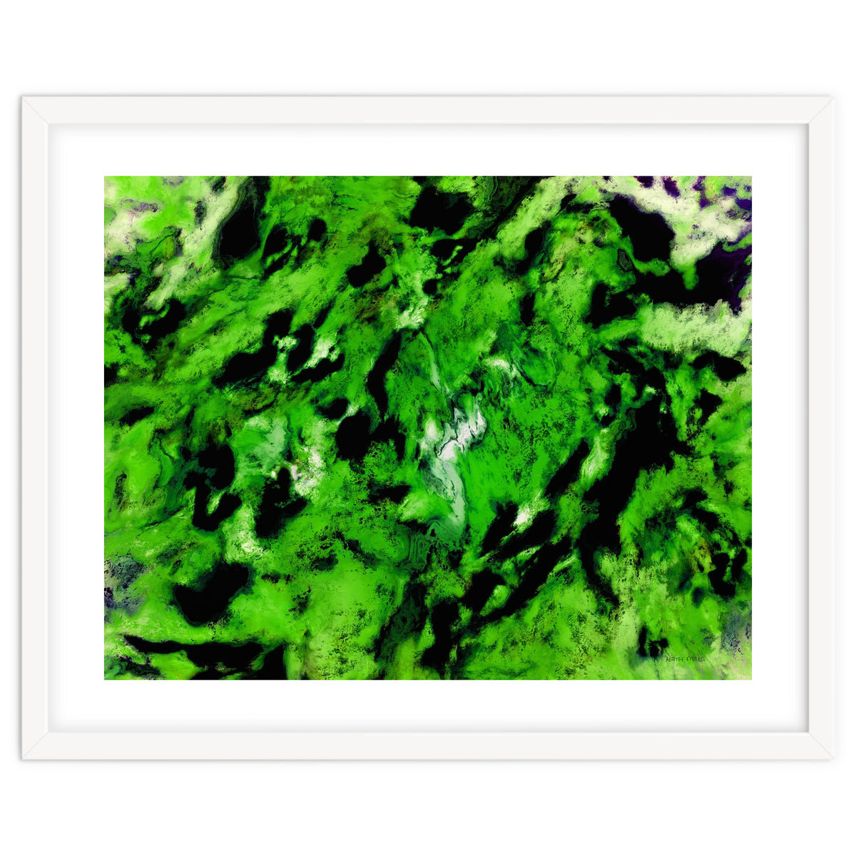 More Distinguishing Marks