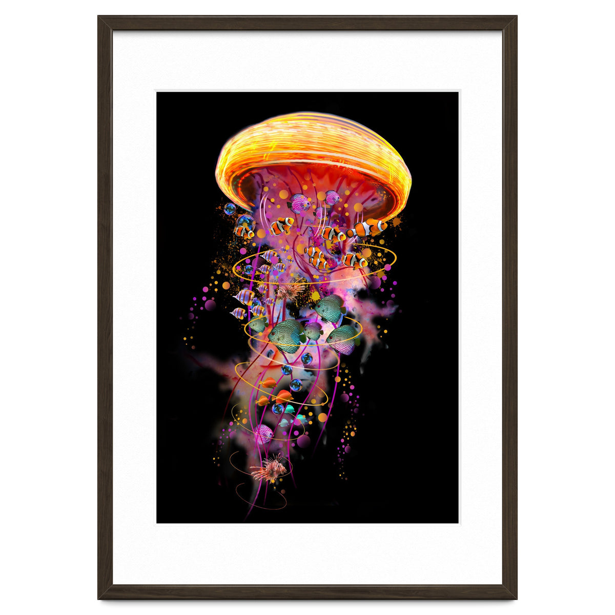 Jelly Fish Ride Summer2018 Dbh