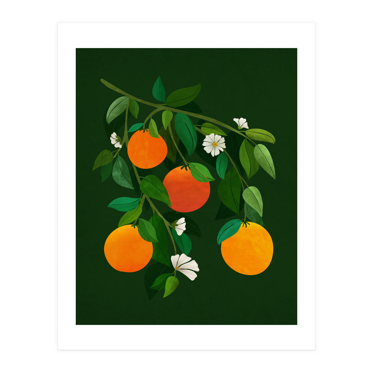 Oranges and Blossoms (Print Only)