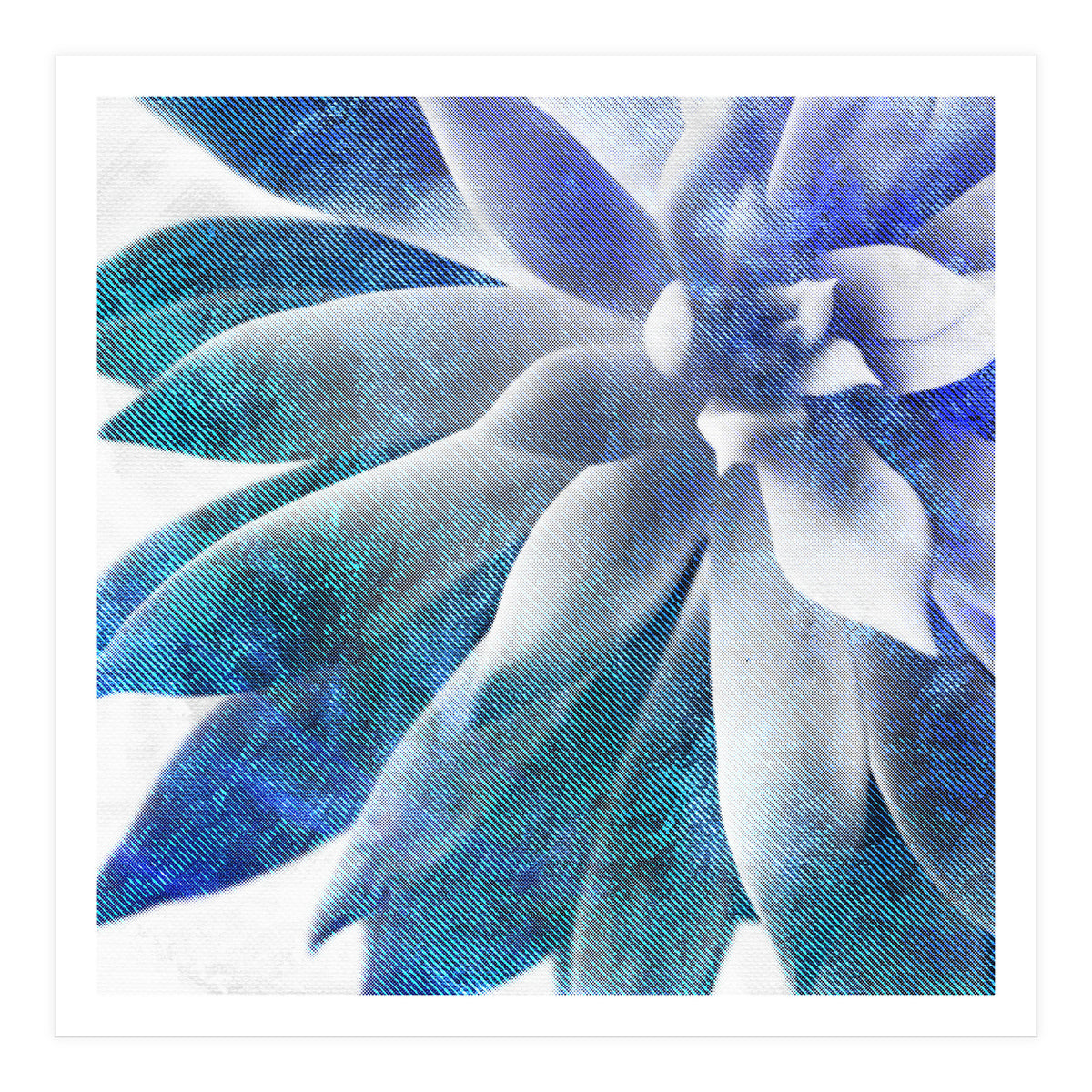 Rough Beauty 3 (Print Only)