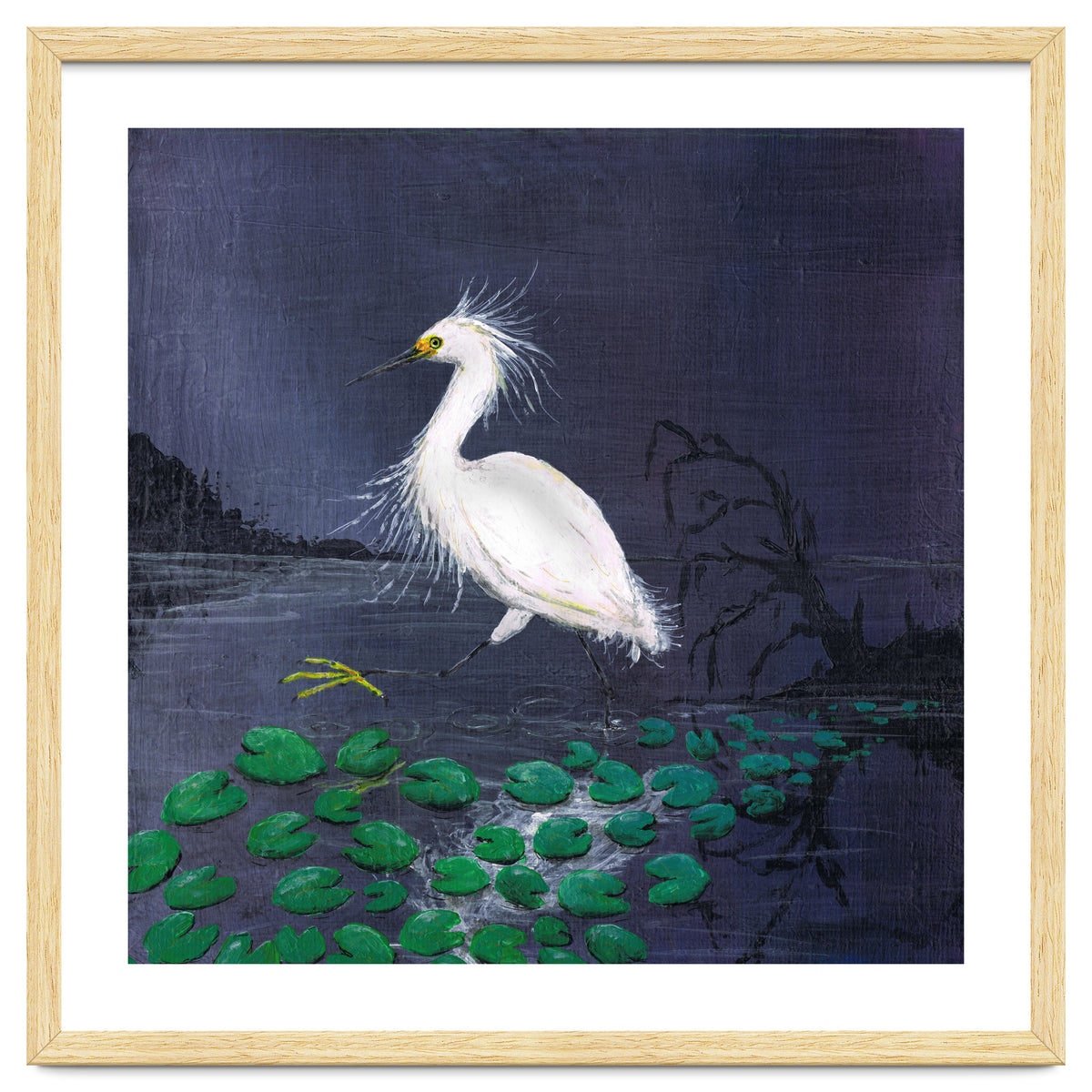 Twilight egret