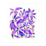 Ultraviolet Nature (Print Only) thumbnail