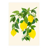 Sunny Lemons (Print Only) thumbnail