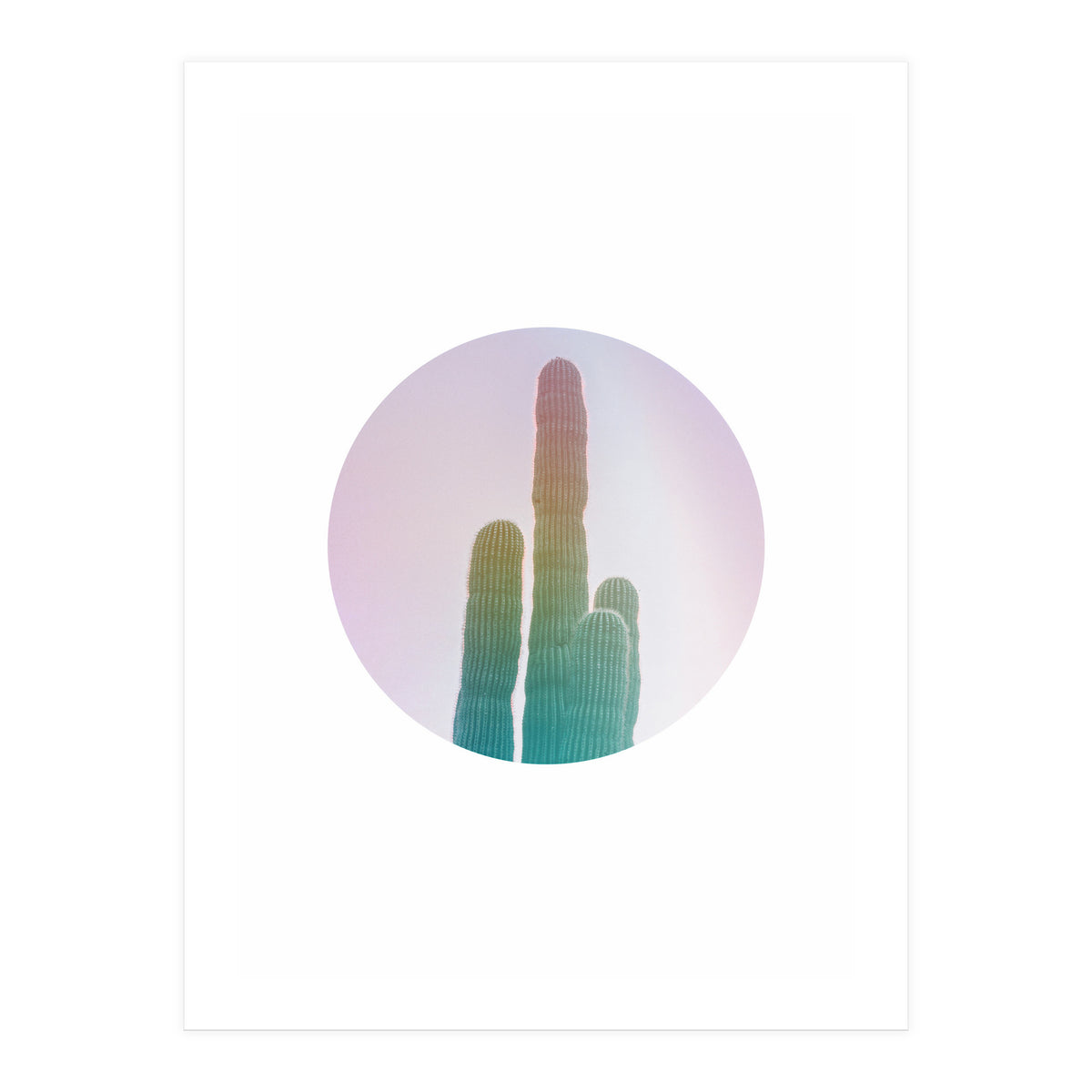 Circular Cacti (Print Only)