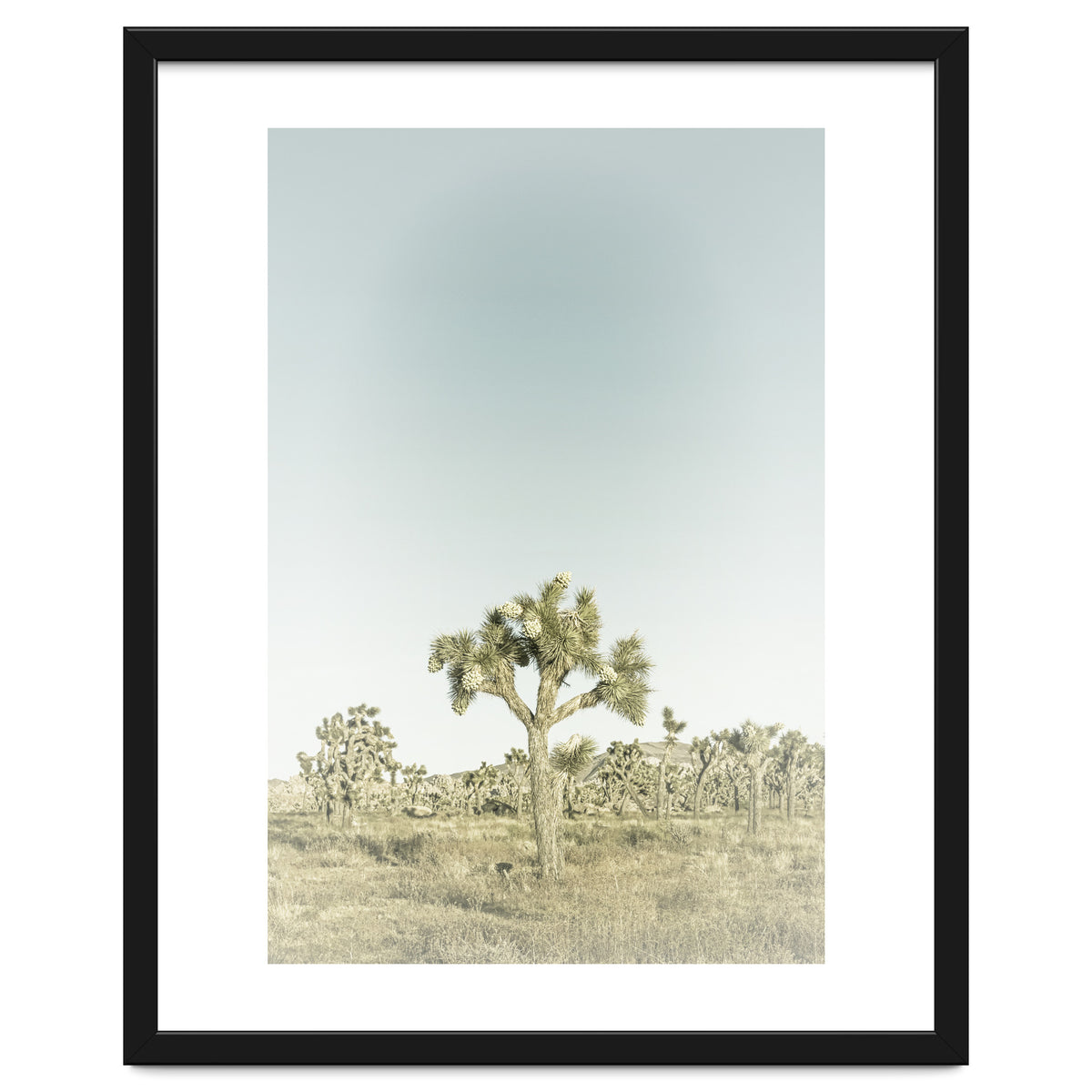 Vintage Joshua Tree