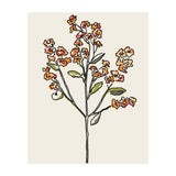 Bunch IV (Print Only) thumbnail