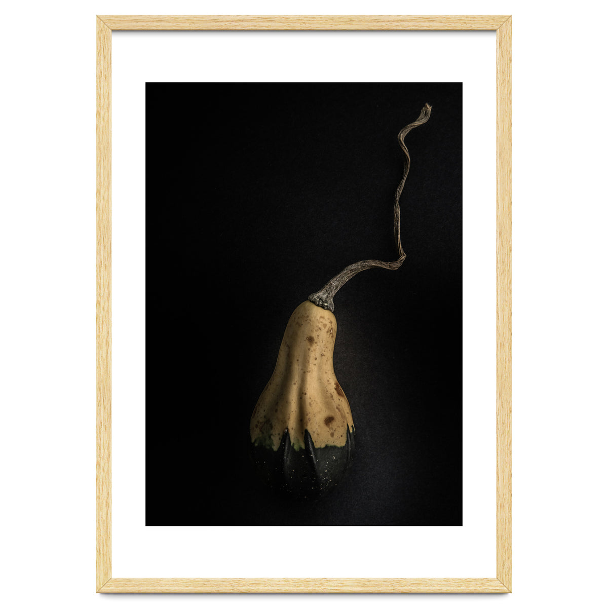 Gourds No 12 Color Version