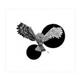 Doodle 100: Doodlefy Owl (Print Only) thumbnail