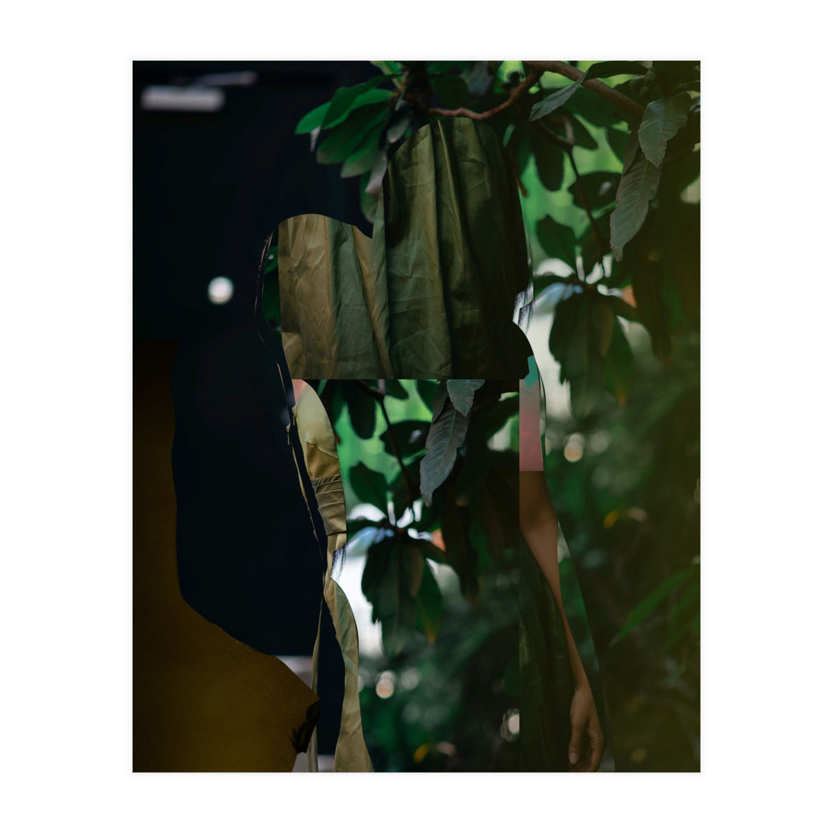 Disappeared Dreams 5 (Print Only)