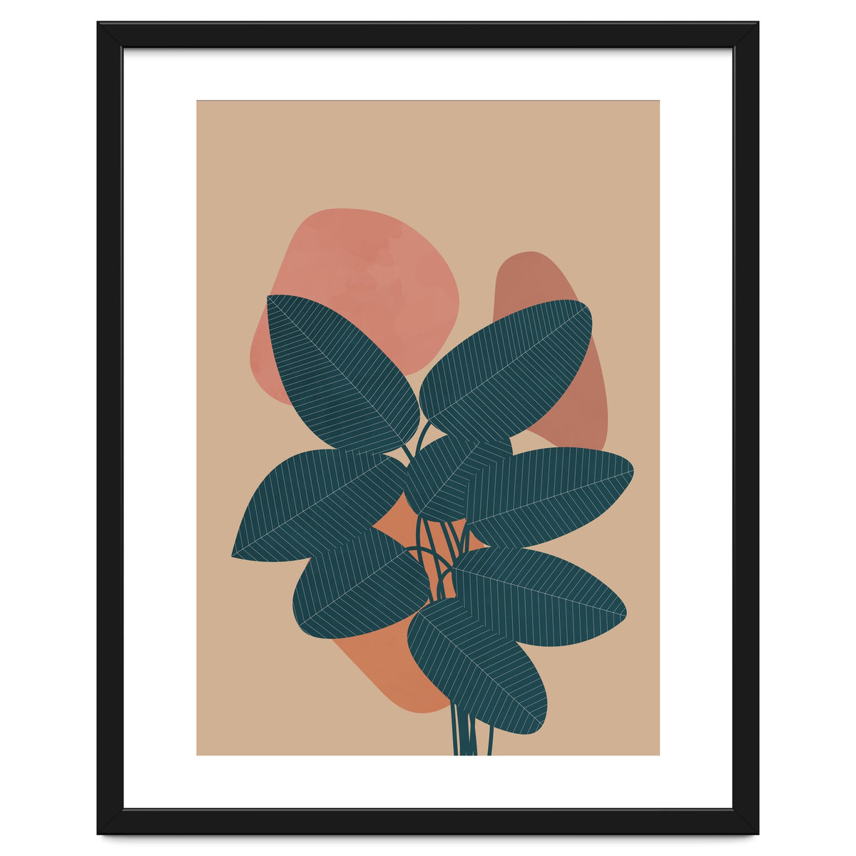 Rubber Plant Boho Botanical