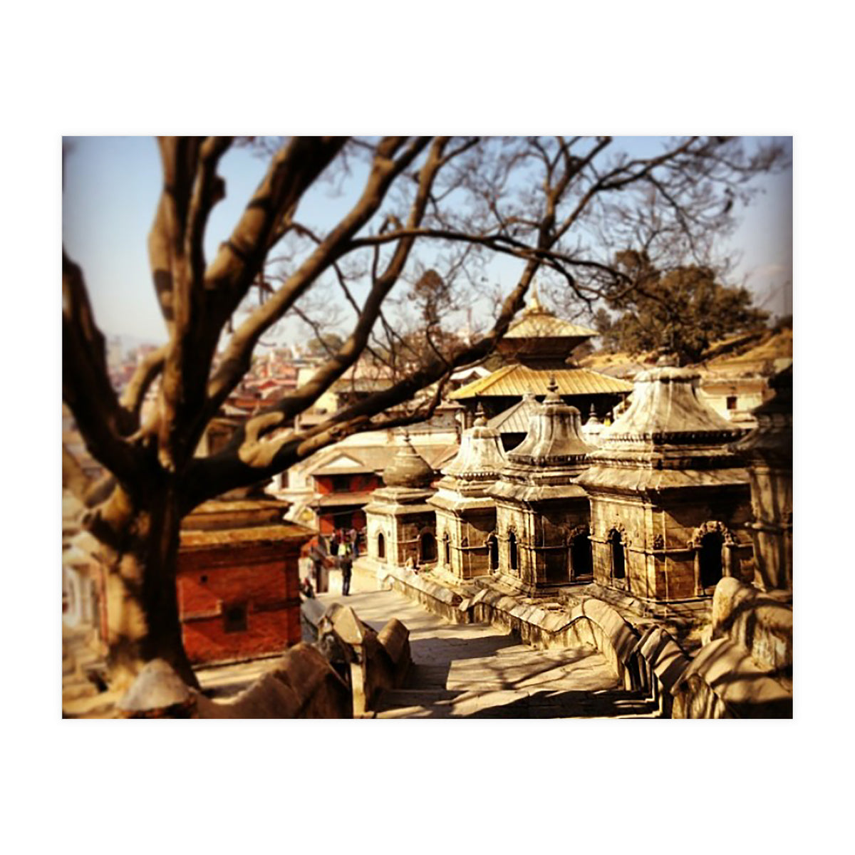 Pashupati Nath Ji (Print Only)